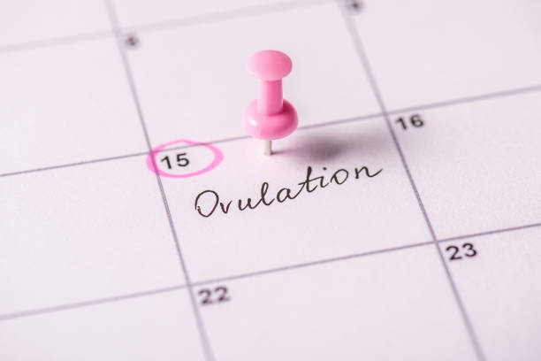 Why go for Follicular Monitoring Treatment?