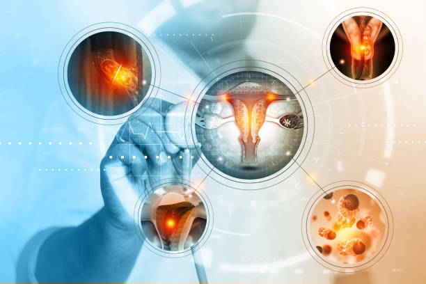 Types of Follicular Monitoring Treatment we provide
